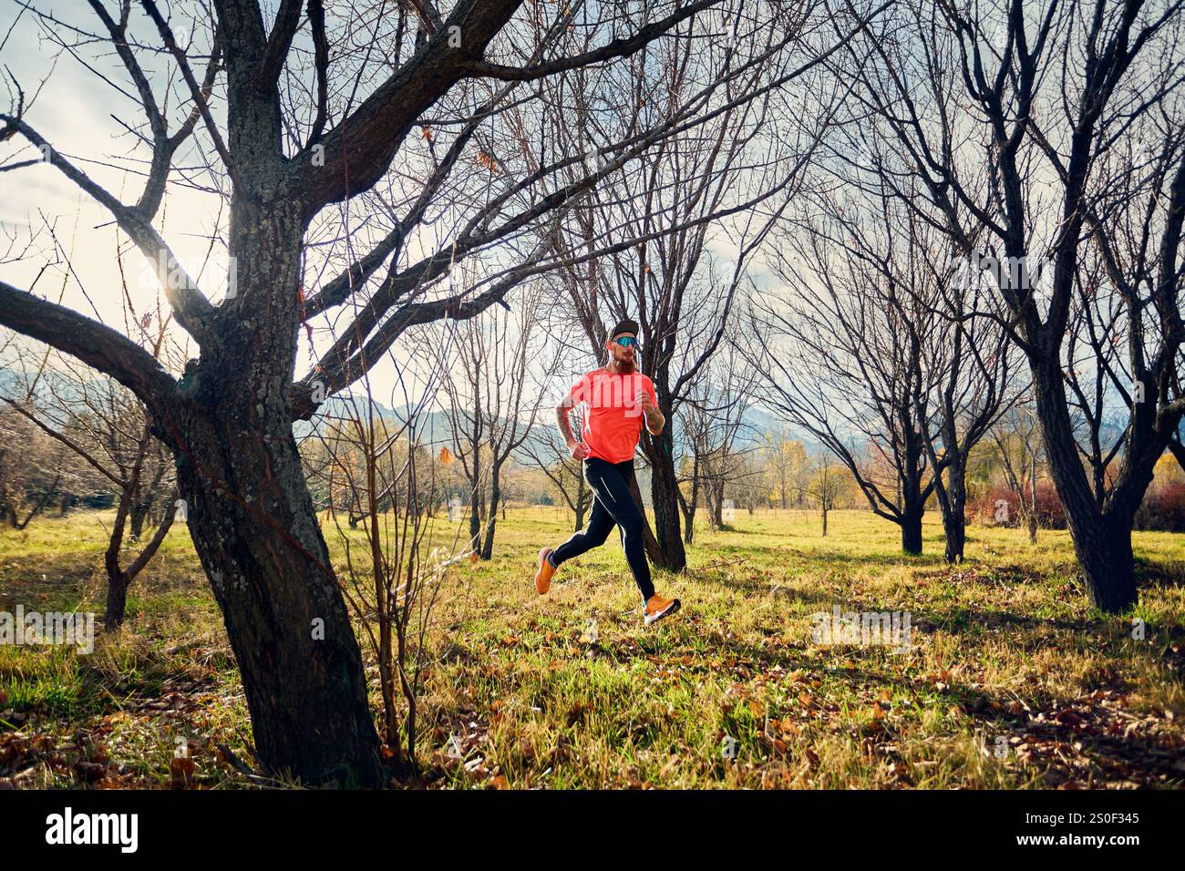 Atletico barbuto in camicia rossa che corre sul sentiero nella foresta autunnale all'alba Foto Stock