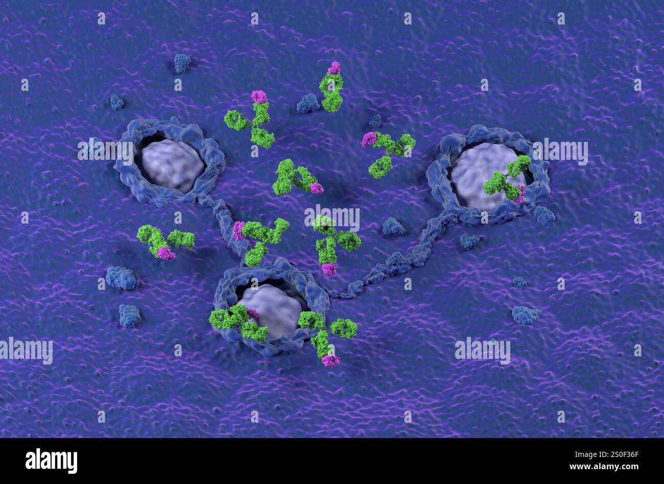 Trattamento con anticorpi monoclonali nel colon, cancro colorettale (CRC) - Vista isometrica illustrazione 3d. Foto Stock