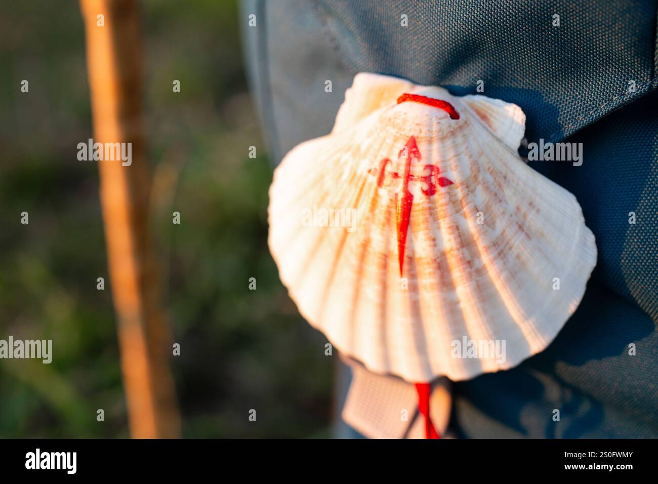 Primo piano di una conchiglia di Scallop con croce rossa di Santiago de Compostela appesa allo zaino del pellegrino durante il pellegrinaggio del cammino di Santiago Foto Stock