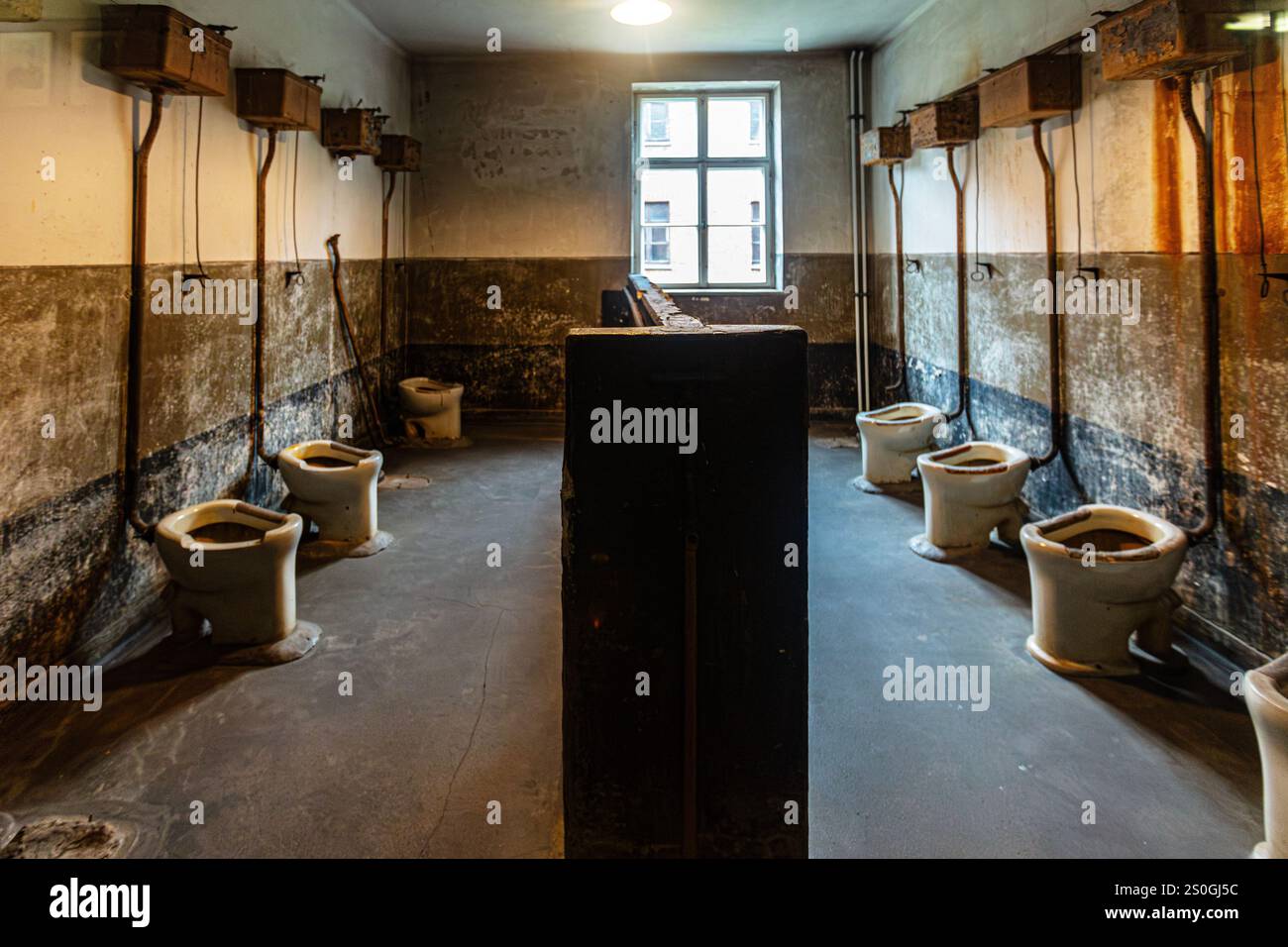 Latrine dei prigionieri: Una triste realtà della vita del campo (Museo statale di Auschwitz-Birkenau, Polonia) Foto Stock