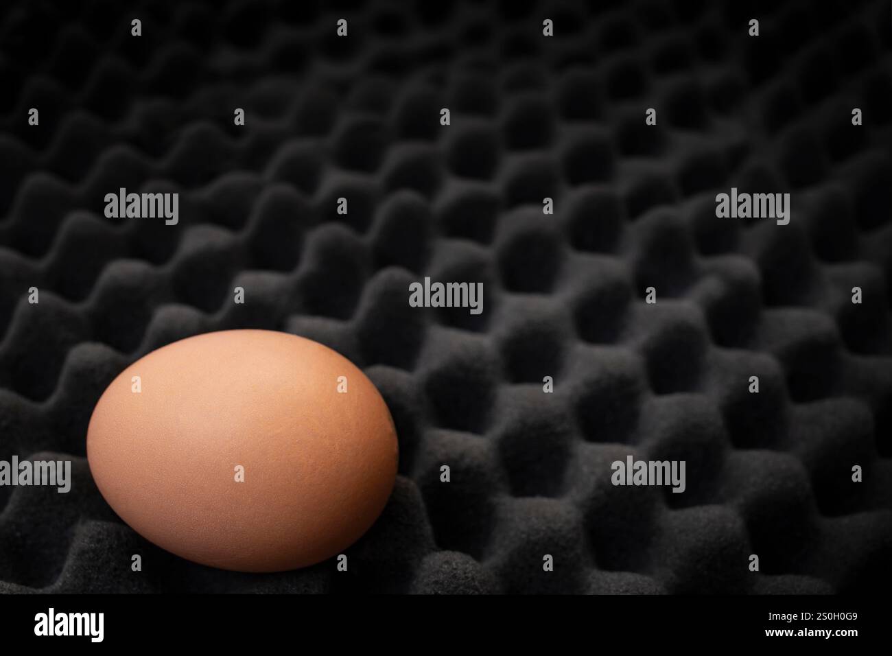 Uovo singolo su schiuma nera fonoassorbente, protezione astratta Foto Stock