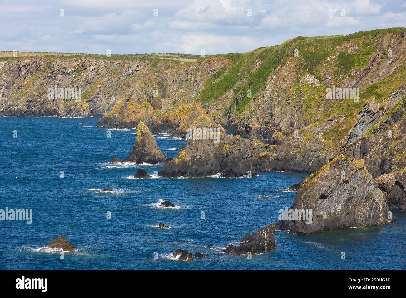 Scogliere rocciose sulla costa gallese. Foto Stock