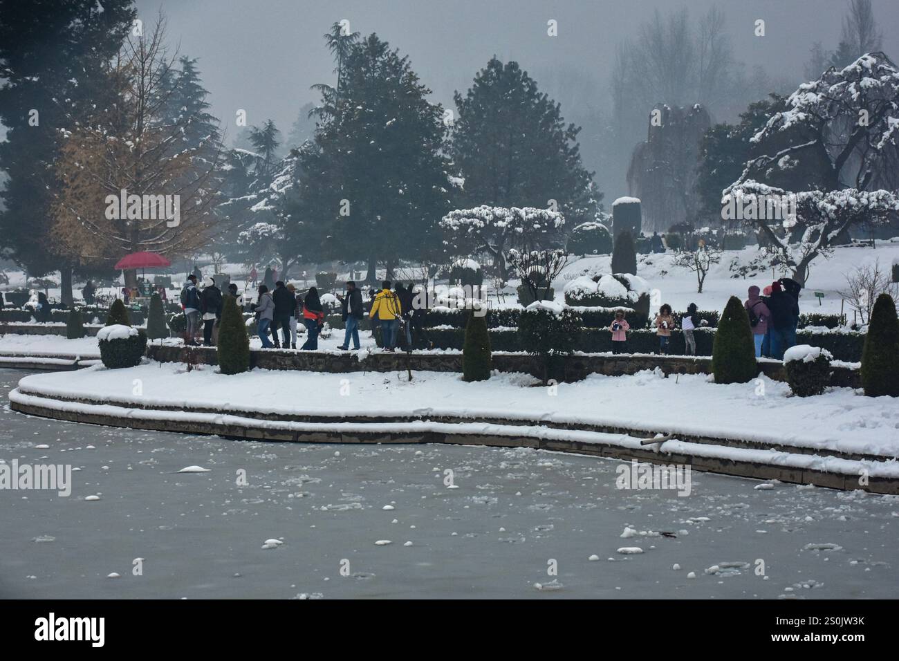 I turisti indiani camminano attraverso il giardino innevato dopo le stagioni la prima nevicata a Srinagar, la capitale estiva del Jammu e del Kashmir. Le forti nevicate hanno gravemente interrotto la vita normale in tutto il Kashmir, influenzando i viaggi, l'alimentazione elettrica e le infrastrutture. Con circa 17 pollici di neve registrati in alcune aree, l'autostrada Jammu-Srinagar e i servizi ferroviari rimangono sospesi. Foto Stock