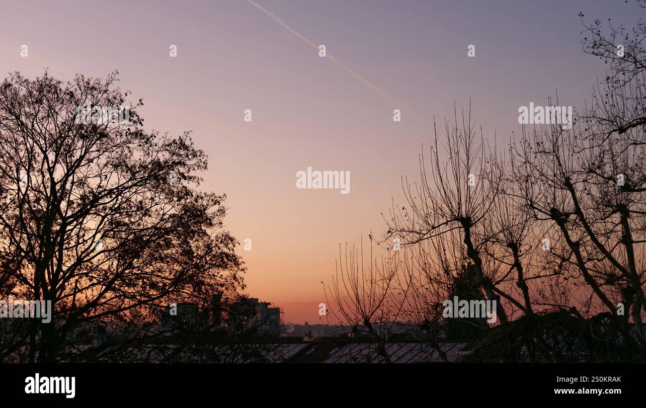 Tranquillo cielo del tramonto con sfumature di rosa e arancione oltre gli alberi senza fronzoli Foto Stock
