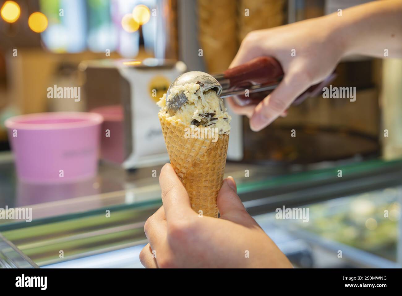 Il gelato alla vaniglia con pezzi di cioccolato viene riempito in un waffle con una pallina da gelato e creazioni autunnali al Cafe Kuh, Deckenpfronn, Germania, Europa Foto Stock