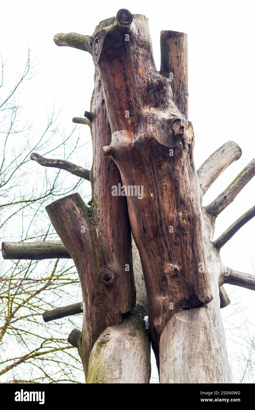Grandi tronchi di legno assemblati come elemento decorativo Foto Stock