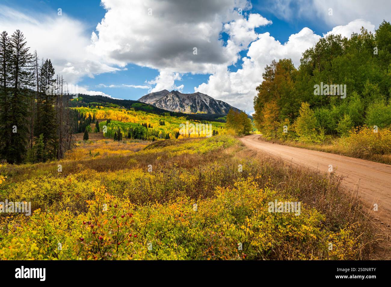 Paesaggio montano panoramico con vibrante fogliame autunnale e cielo azzurro brillante Foto Stock