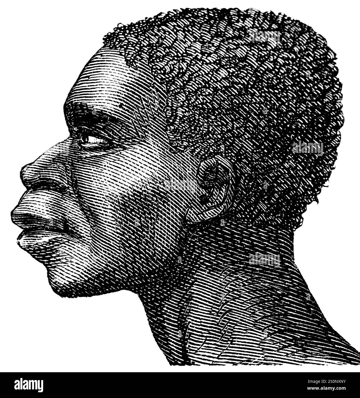 Ritratto di una donna Khoekhoe, in antico termine Hottentot (termine razziale), la popolazione indigena del Sudafrica, illustrazione storica 1880 Foto Stock
