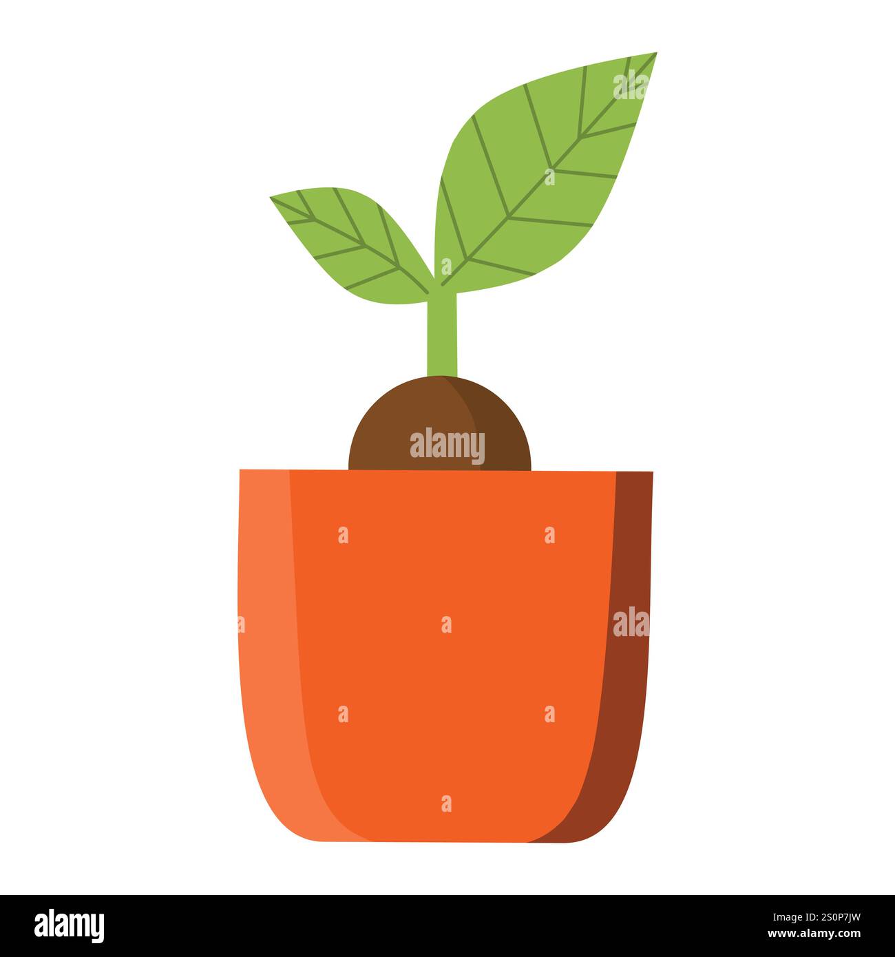 Un'illustrazione minimalista di una piccola pianta con due foglie verdi che germogliano da un seme marrone in una pentola d'arancia. Il design semplice enfatizza la crescita e. Illustrazione Vettoriale Un'illustrazione minimalista di una piccola pianta con due foglie verdi che germogliano da un seme marrone in una pentola d'arancia. Il design semplice enfatizza la crescita e. Illustrazione Vettoriale