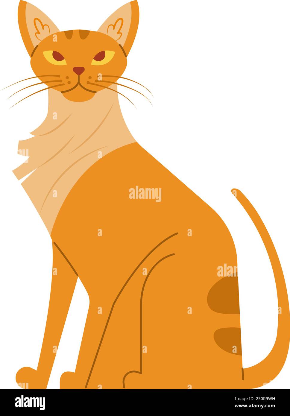 Gatto arancione con pelliccia leggera sul petto seduto e fissato con uno sguardo intenso, creando un'atmosfera affascinante e giocosa in un semplice vettore piatto Illustrazione Vettoriale