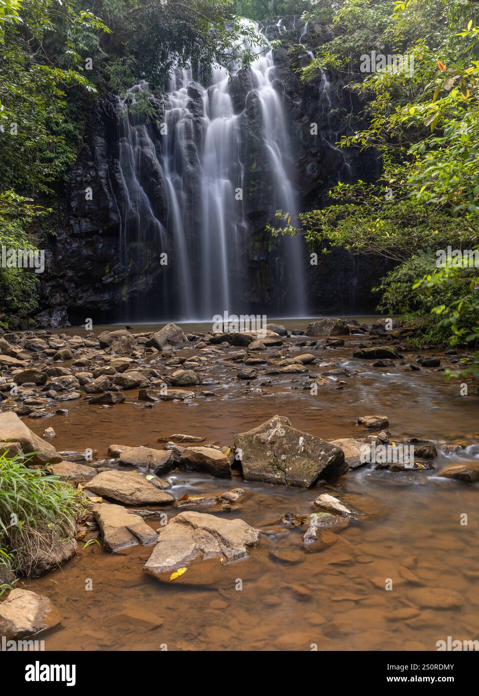 vista frontale delle cascate di ellinjaa nell'altopiano di atherton nel queensland, australia Foto Stock