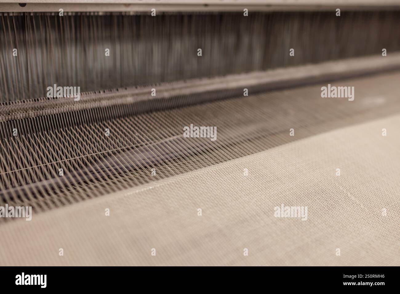 Linee di filati sulla macchina del telaio per tessitura. Una macchina per telai per indumenti o etichette tessute. Tessitrice per l'industria dell'abbigliamento. Telaio per tessitura in texti Foto Stock