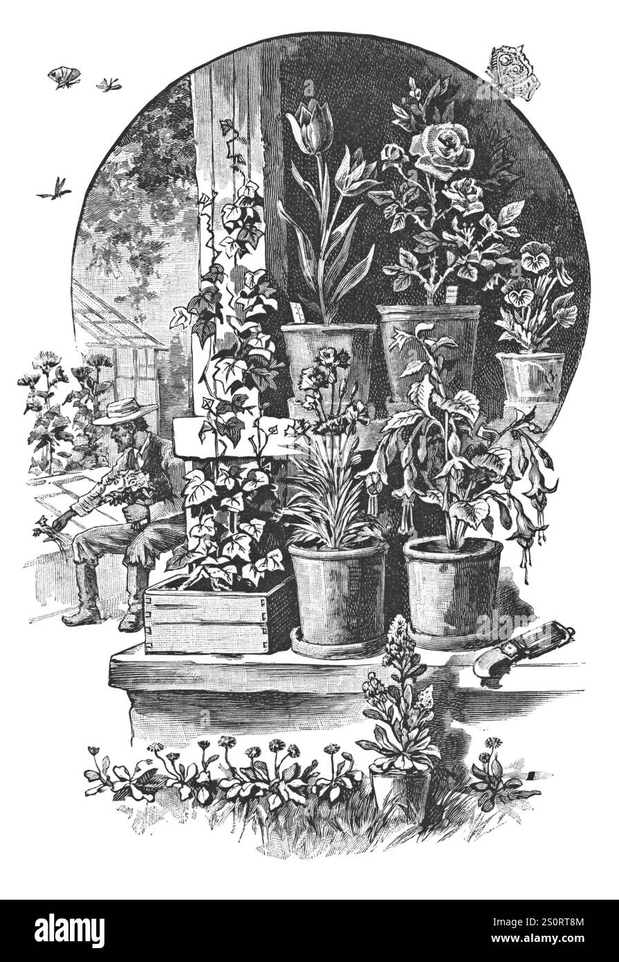 RUSSIA - 1902 CIRCA: Illustrazione tratta da un libro "Lecons de causerie" stampato da Academy of a Science. San Pietroburgo, RUSSIA, 1902. Mostra le scene di Foto Stock