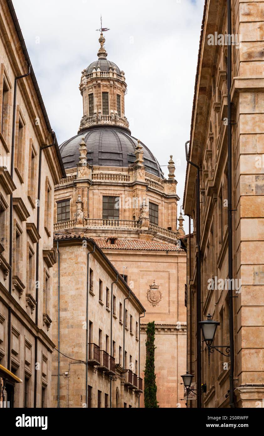 Passeggiando per le stradine strette si scopre la splendida architettura e la cupola di Salamanca. Foto Stock