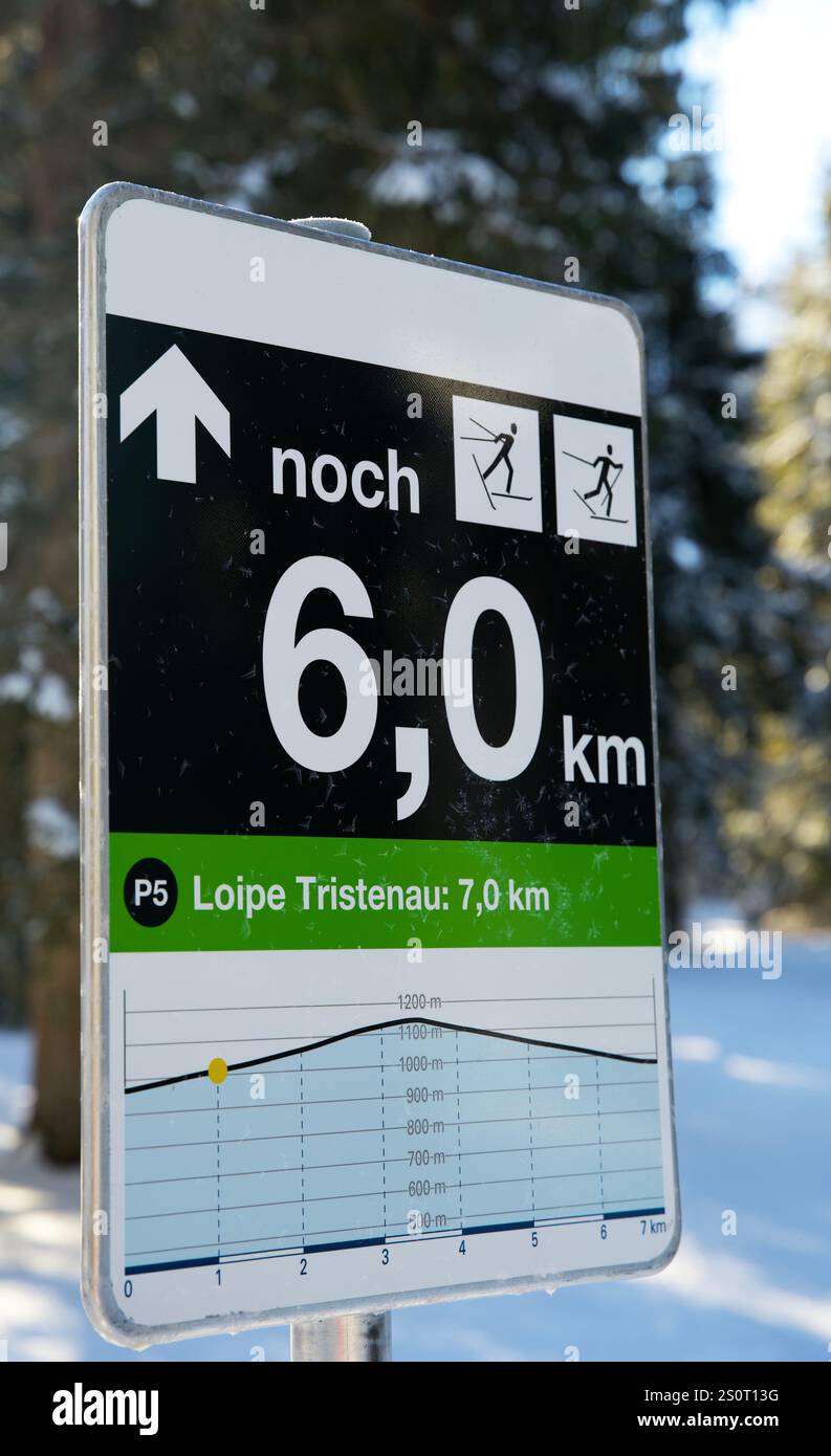 Pista da sci di fondo a Pertisau am Achensee Foto Stock