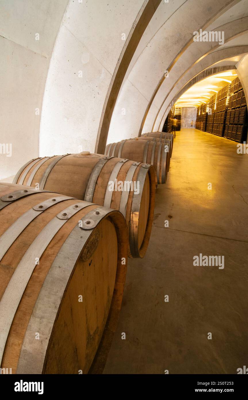 Agusti Torreló cantina. Sant Sadurni de Anoia. Barcellona. Spagna Foto Stock