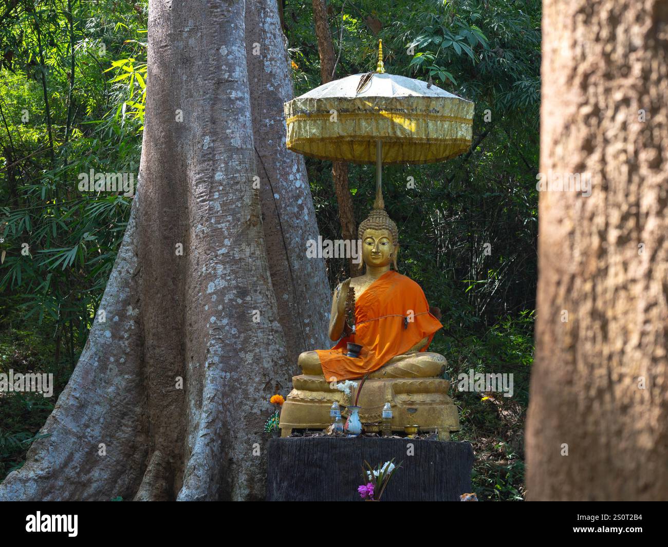 Una tranquilla statua dorata del Buddha in un ambiente forestale con alti alberi sullo sfondo. Foto Stock