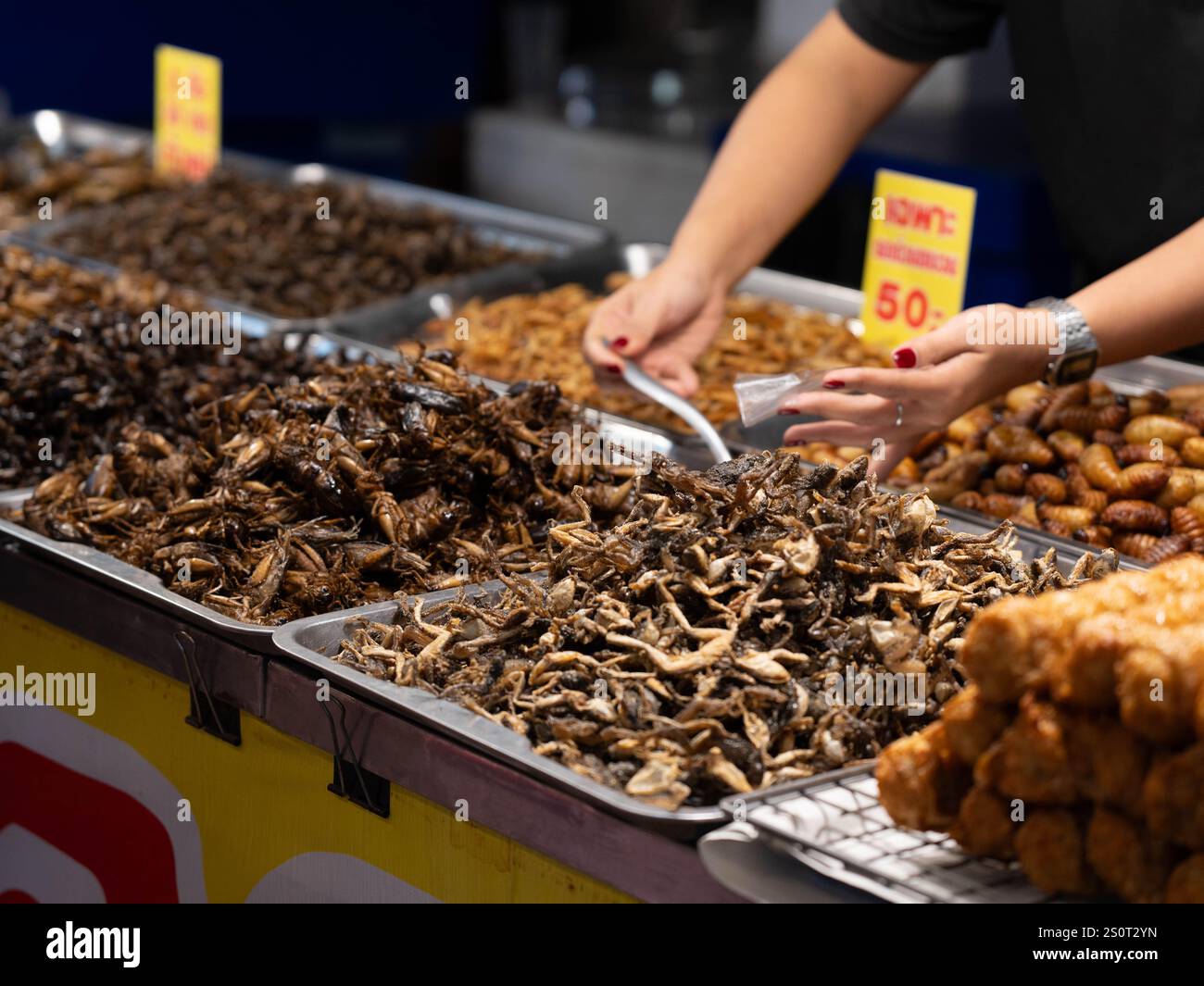 Grilli fritti croccanti con foglie di panda su un vassoio su una stalla con vari insetti. Insetti fritti in un mercato tailandese di Street food. Foto Stock