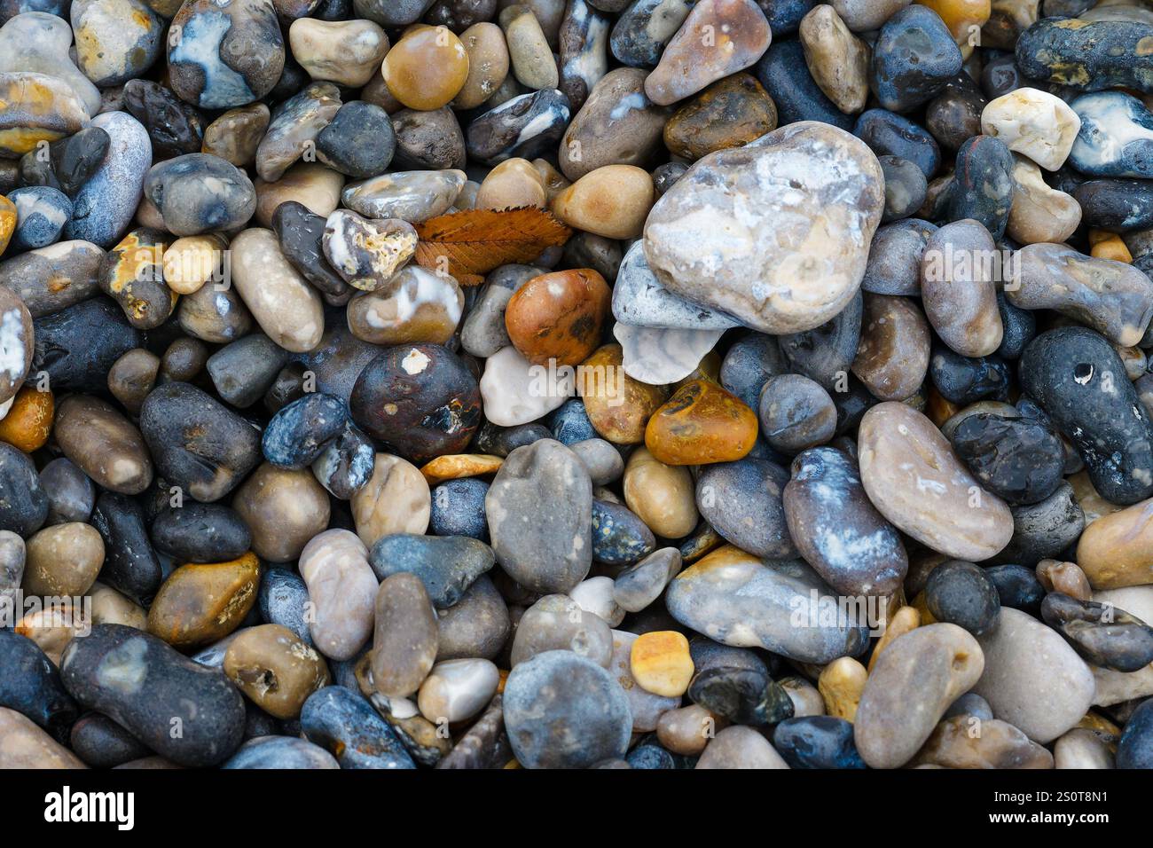 Ciottoli colorati sparsi lungo la riva del fiume con varie forme e dimensioni alla luce del sole durante un sereno pomeriggio Foto Stock