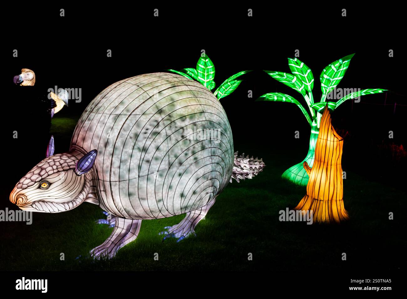 Festival of Light Longleat 28/12/2024 Foto Stock