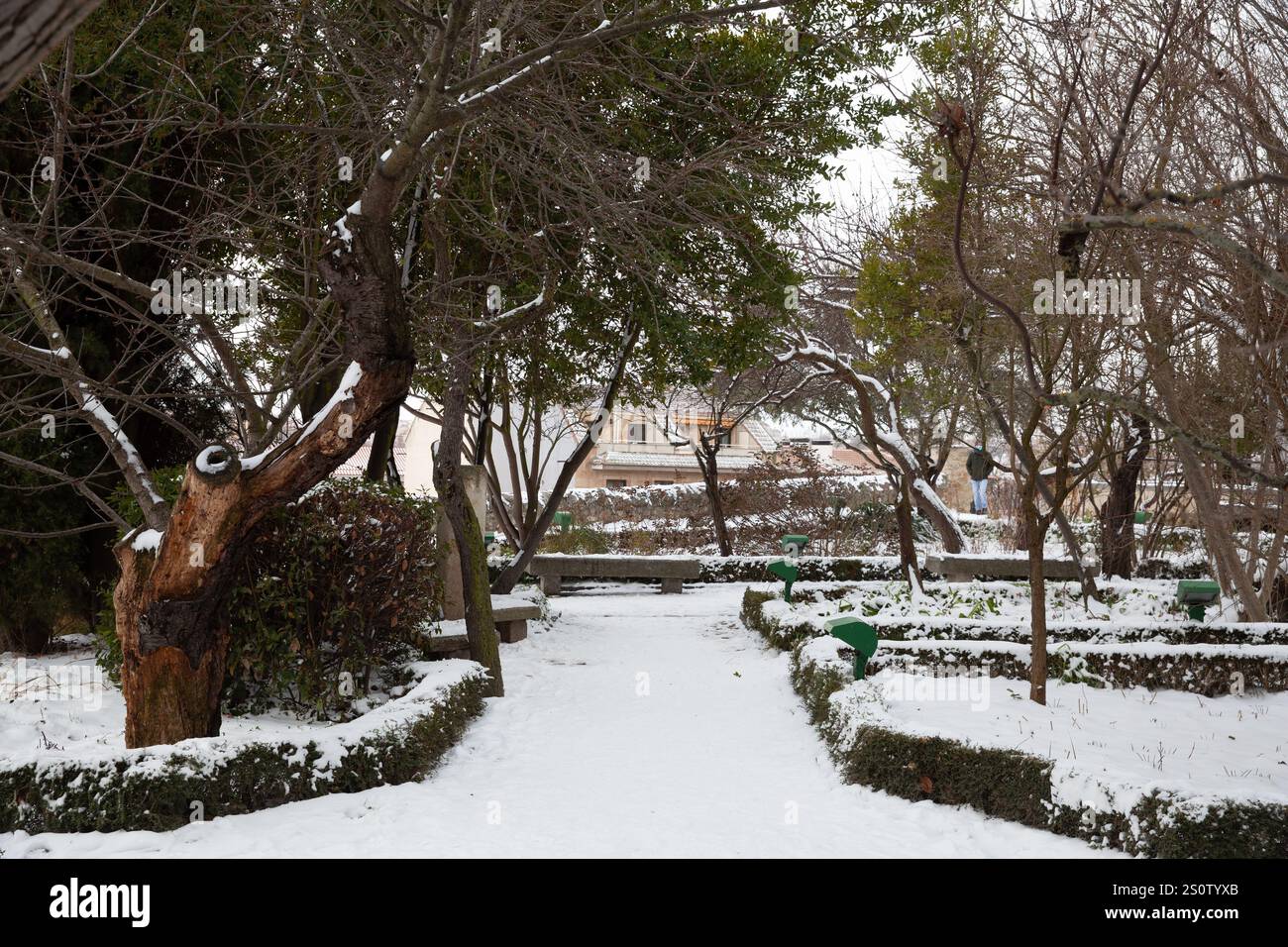 Salamanca, Spagna - 10 gennaio 2021: Plaza de Anaya ricoperta di neve Foto Stock