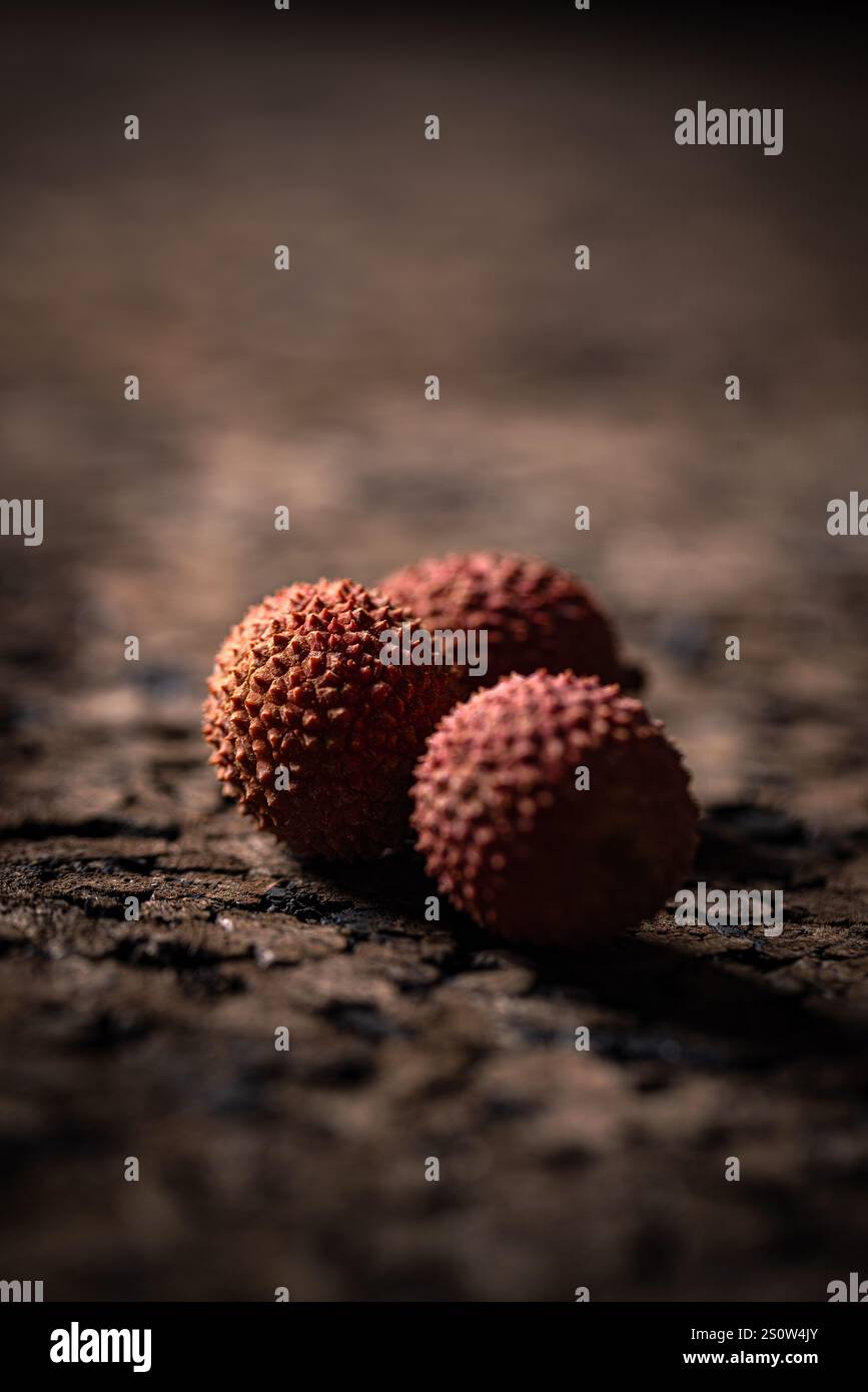Tre litchi si trovano su una superficie scura e crepa, creando un contrasto sorprendente di colore e consistenza Foto Stock