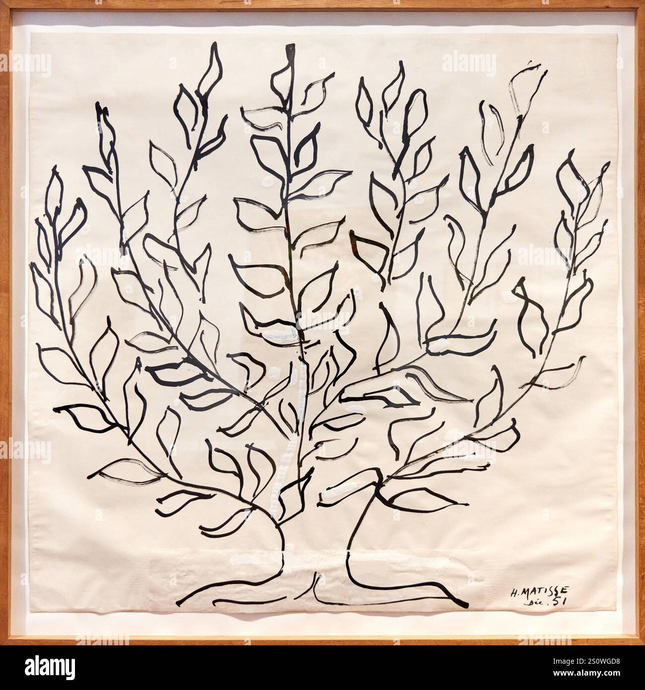 Albero, piano, 1951, pennello e inchiostro cinese, con correzioni di gouache bianche, su carta pergamena, su carta pergamena, Henri Matisse (1869-1954) Foto Stock
