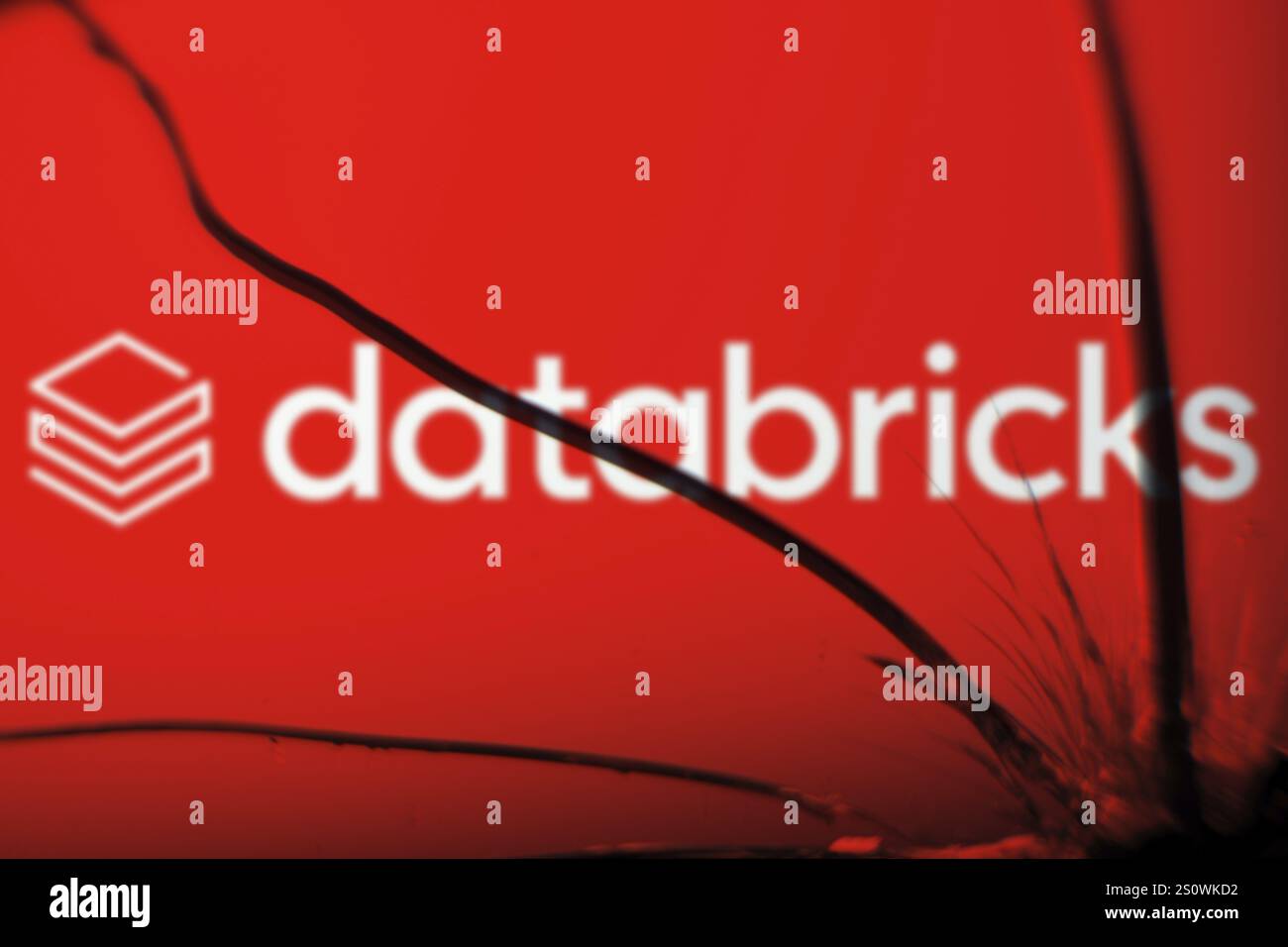 Il logo Databricks è visibile sul vetro rotto. Databricks Inc è un'azienda globale di dati, analisi e intelligenza artificiale (ai). Foto Stock