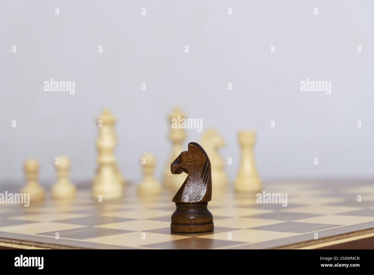 Pezzo del cavaliere degli scacchi in primo piano durante una partita su sfondo bianco Foto Stock