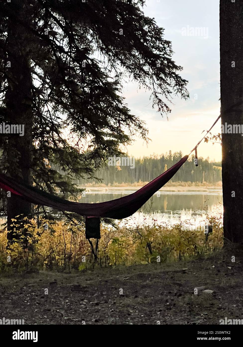Un'amaca adagiata tra gli alberi vicino a un lago sereno con un tramonto incandescente e un fogliame autunnale sullo sfondo. Perfetto per il relax e il tema all'aperto - Immagine stock catturata con smartphone