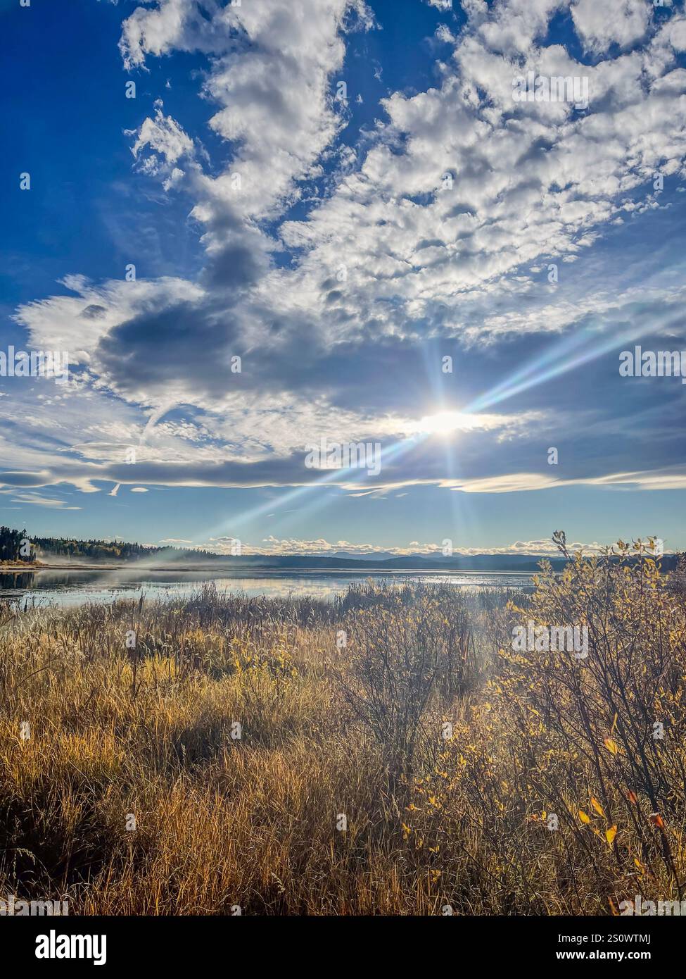 Un paesaggio autunnale illuminato dal sole caratterizzato da erbe dorate e un lago calmo con nuvole sparse nel cielo. Ideale per temi stagionali e naturali. Foto Stock