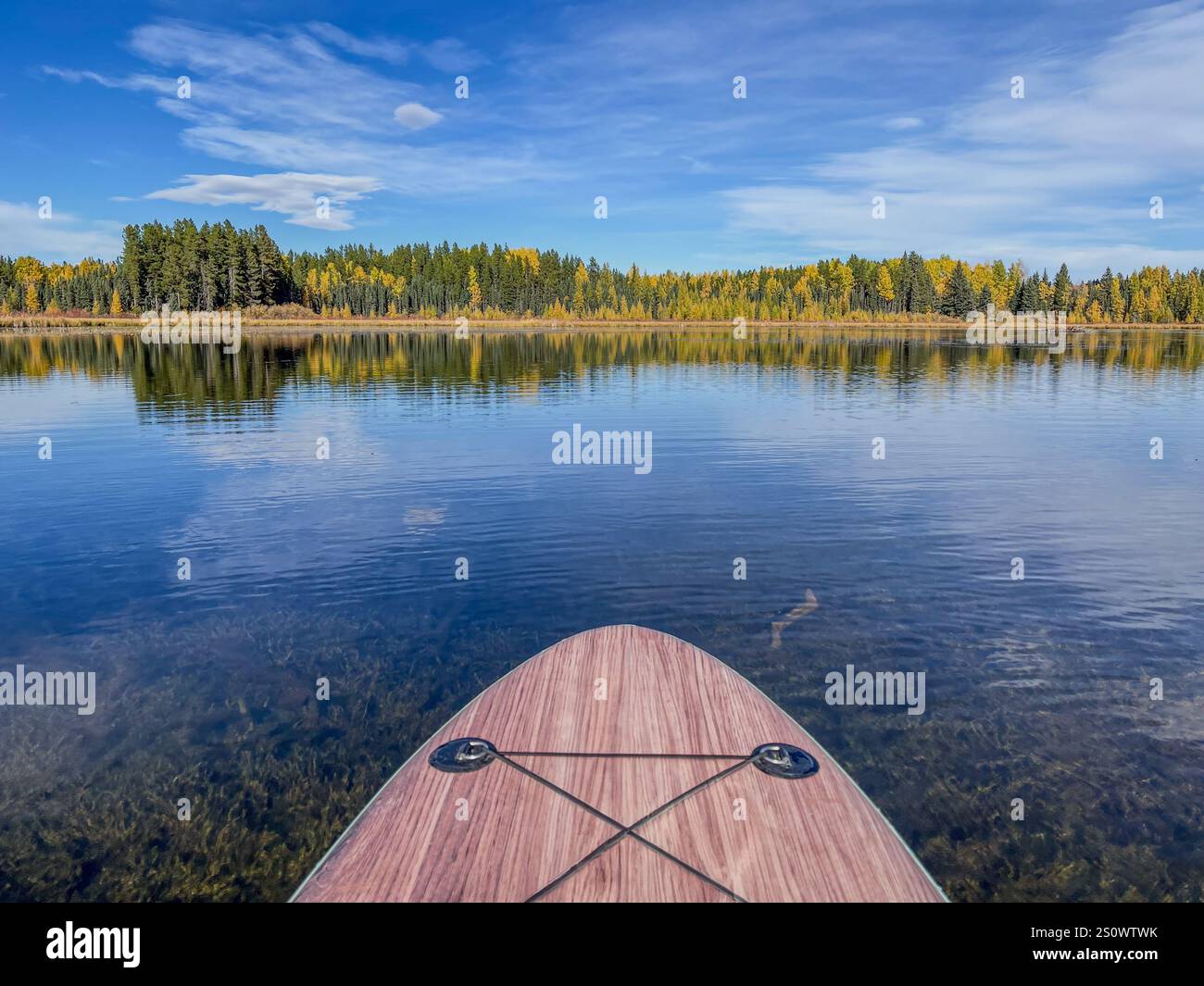 Un paddleboard di legno che poggia sull'acqua di un lago incontaminato circondato da colorate foreste autunnali. Un rifugio panoramico e tranquillo all'aperto per rilassarsi Foto Stock