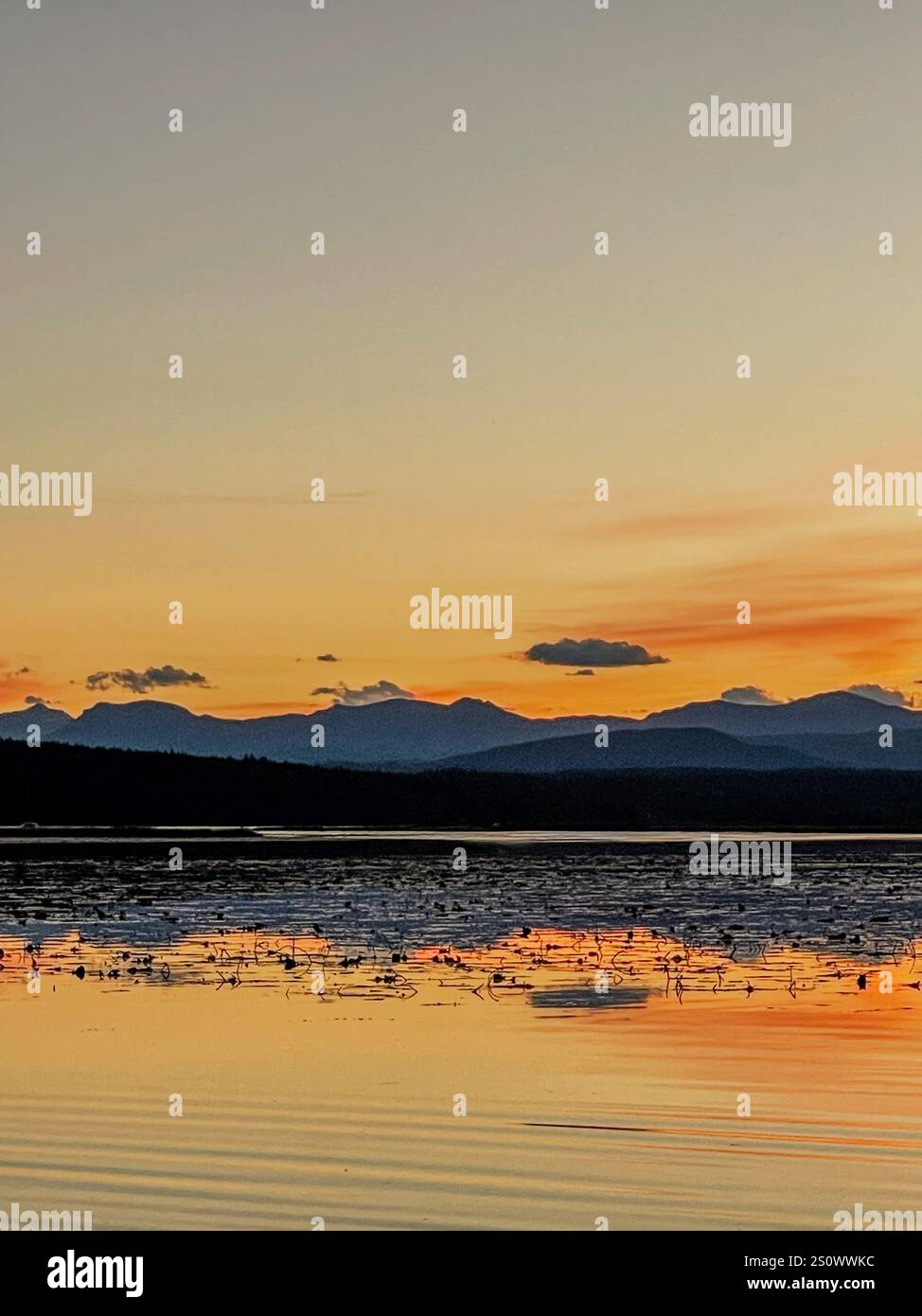 Un lago calmo riflette le vivaci sfumature di un tramonto, sagomato da lontane vette di montagna e da un tranquillo paesaggio acquatico. - Immagine stock catturata con smartphone
