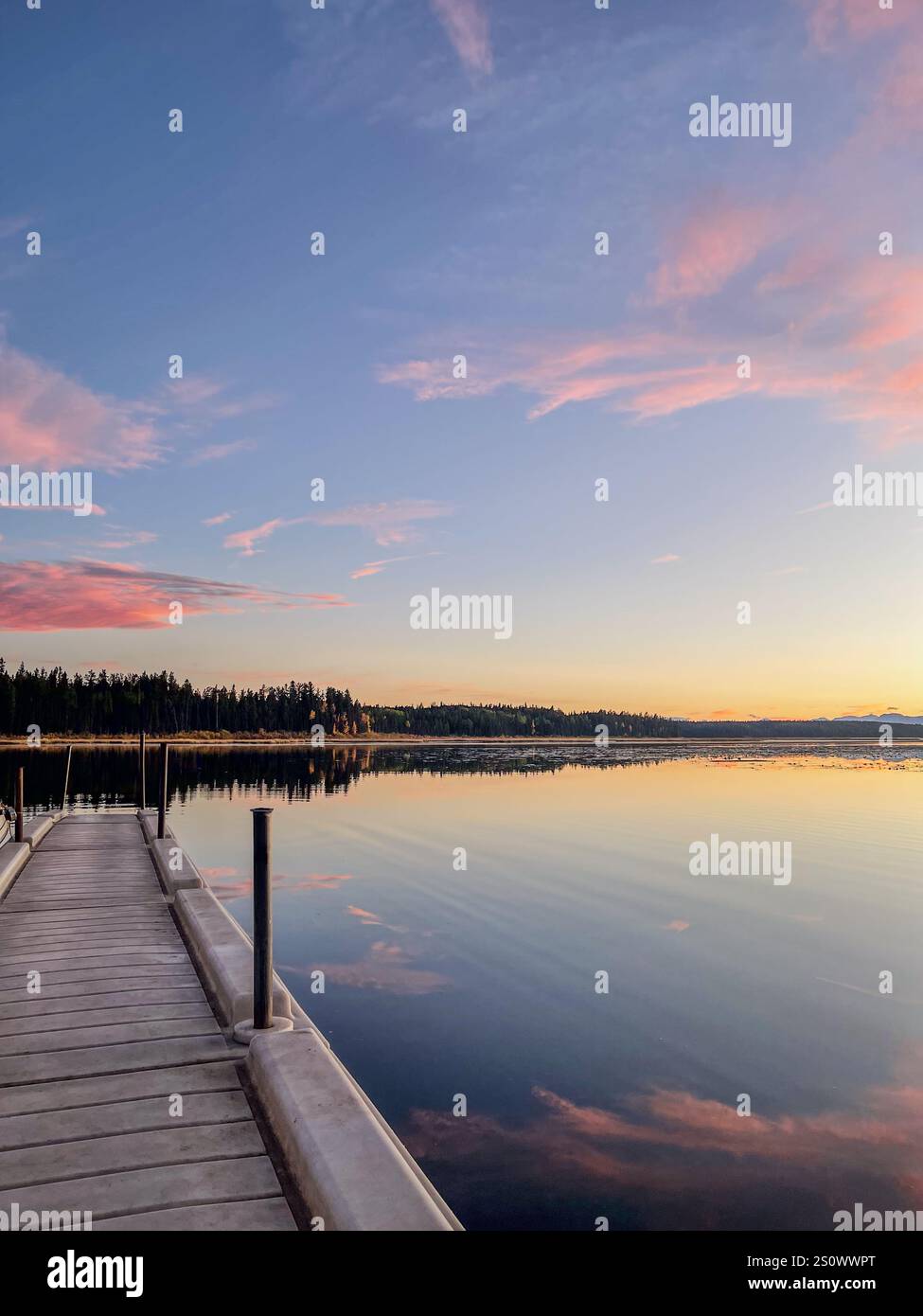 Un molo galleggiante si estende in un tranquillo lago durante il tramonto, riflettendo vivaci sfumature rosa e arancio nell'acqua serena, con un orizzonte boscoso Foto Stock