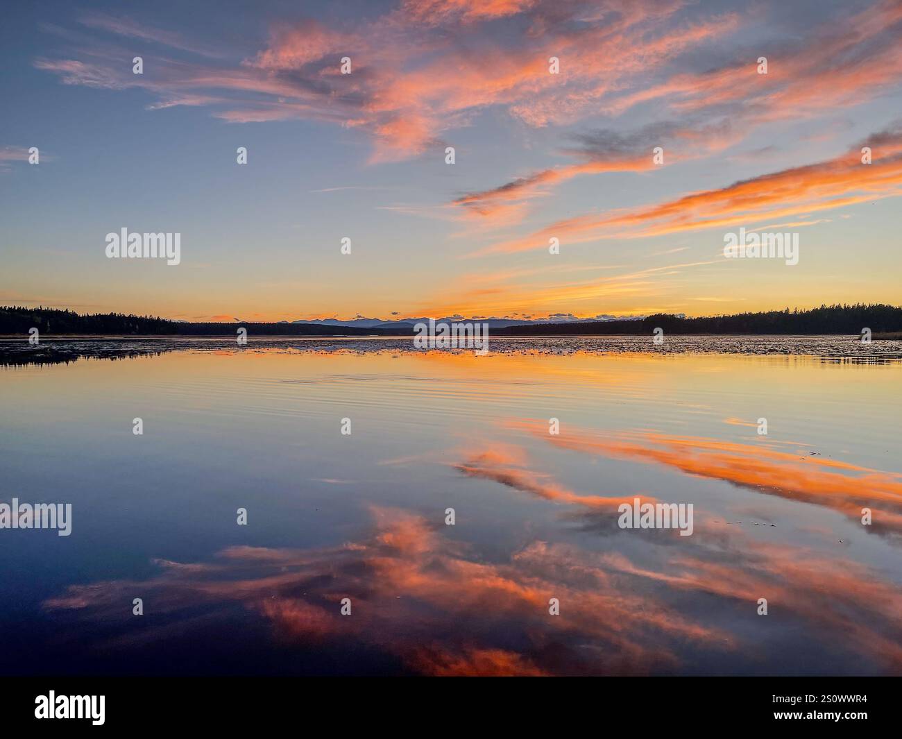Un vivace cielo al tramonto con sfumature rosa e arancio riflesse sulla tranquilla superficie di un lago, incorniciato da alberi lontani all'orizzonte. Foto Stock