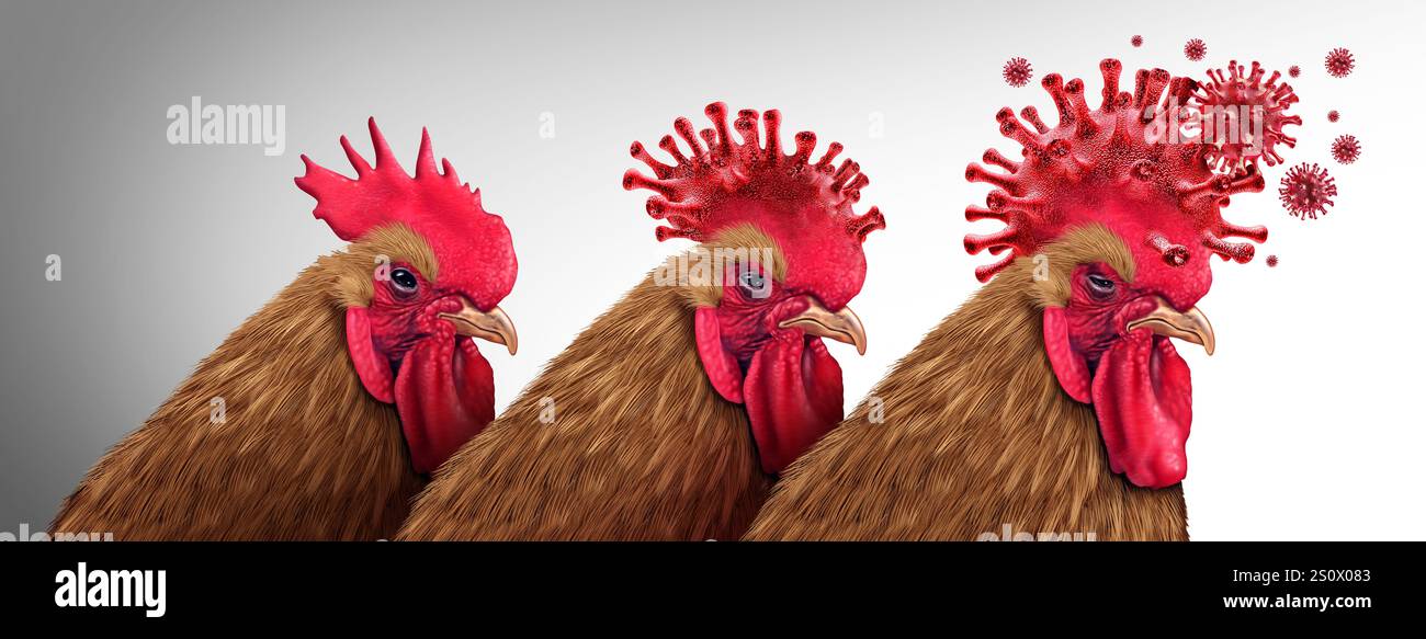 Mutazione dell'influenza aviaria rischio sanitario in quanto focolaio di virus mutante e crisi dell'influenza aviaria in quanto virus del pollame infetto come bestiame di pollo Foto Stock Mutazione dell'influenza aviaria rischio sanitario in quanto focolaio di virus mutante e crisi dell'influenza aviaria in quanto virus del pollame infetto come bestiame di pollo Foto Stock