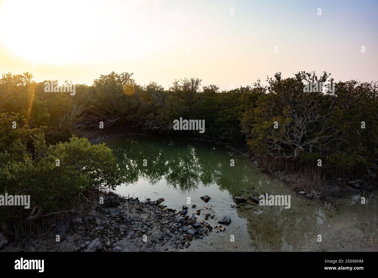 Isola viola al Khore Doha Qatar @5/12/2024 Foto Stock