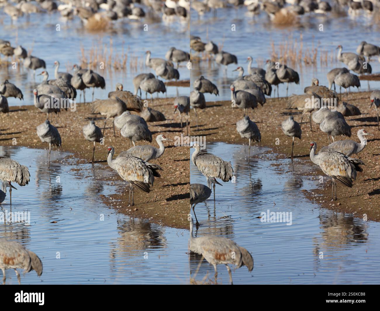 White Water Draw Stereogram 28 Dic 2024 12 Foto Stock