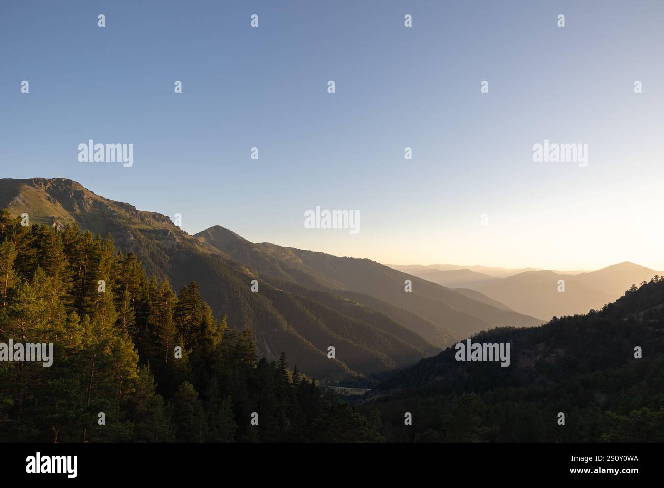 Paesaggio delle catene montuose con foresta al tramonto. Foto di sfondo naturale. Foto Stock