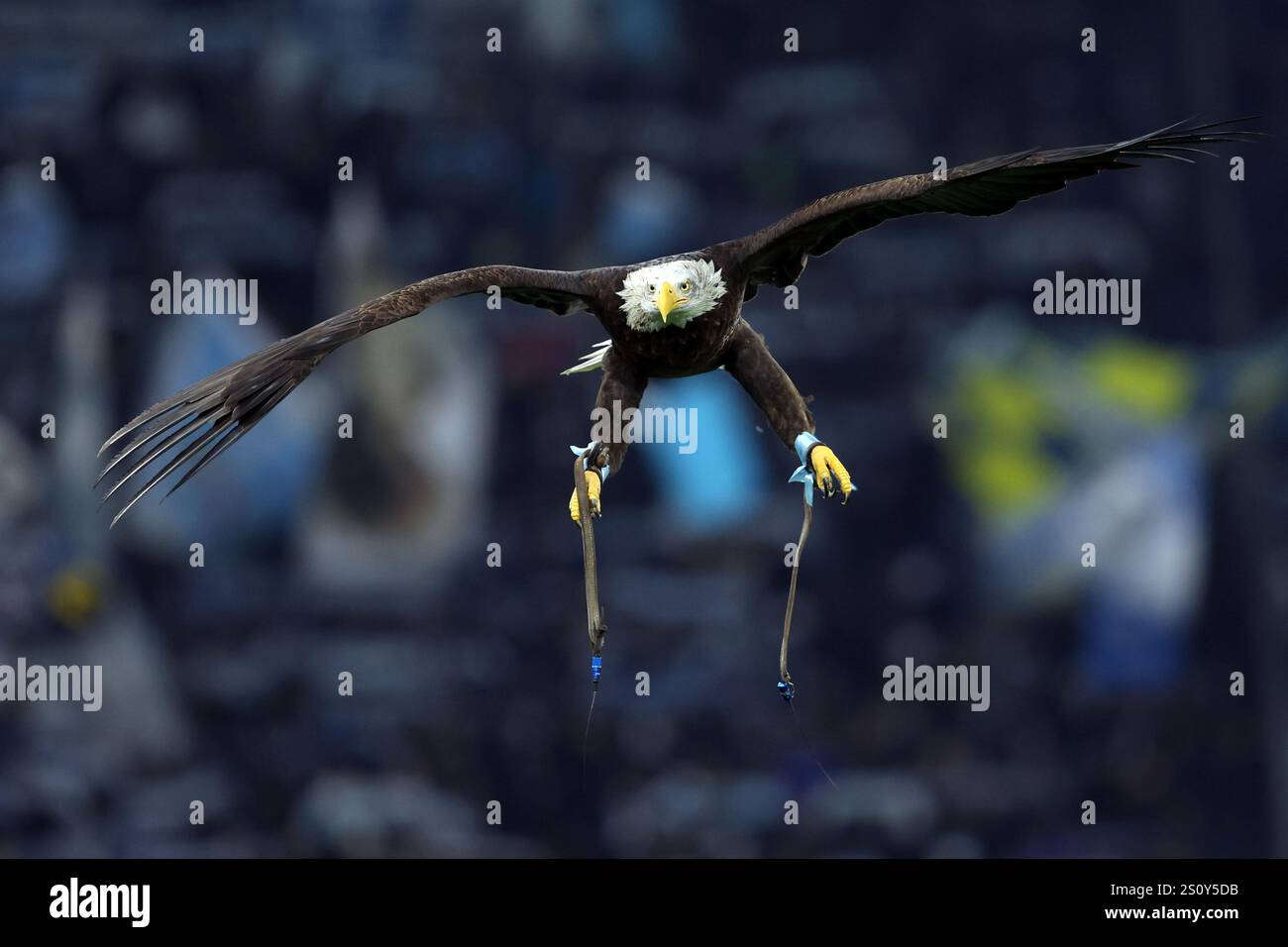 Roma, Italia 28.12.2024: Le mascotte Eagles volano sul campo prima del campionato italiano di calcio di serie A Enilive 2024-2025 partita SS Lazio vs Atalanta B. Foto Stock