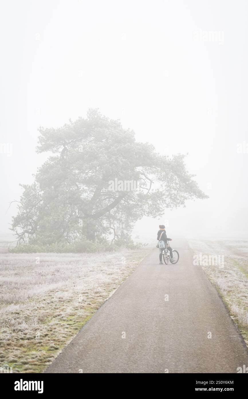 Giornata fredda nebbiosa nei Paesi Bassi. Lady Cycles sulla pista ciclabile olandese a Hoge Veluwe, una nebbia pesante che limita la visibilità. Il maltempo comporta un pericolo per il trasporto Foto Stock