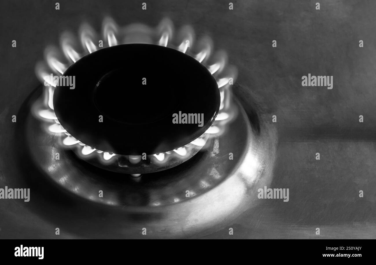 fiamme blu di gas bruciato sul bruciatore della stufa a gas in foto in bianco e nero da vicino Foto Stock