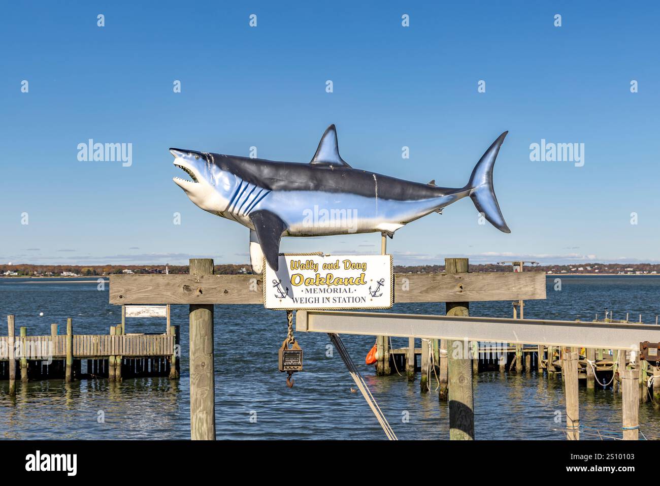 il grande squalo al memoriale di oakland pesa in stazione nelle baie di hampton Foto Stock