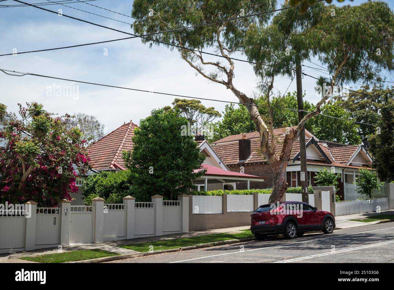 Strada residenziale a Mosman, Sydney, NSW, Australia Foto Stock