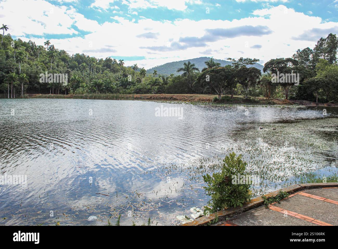 Serenità, relax e vita sana sulle rive di un lago cubano nella valle di Viñales, Cuba Foto Stock