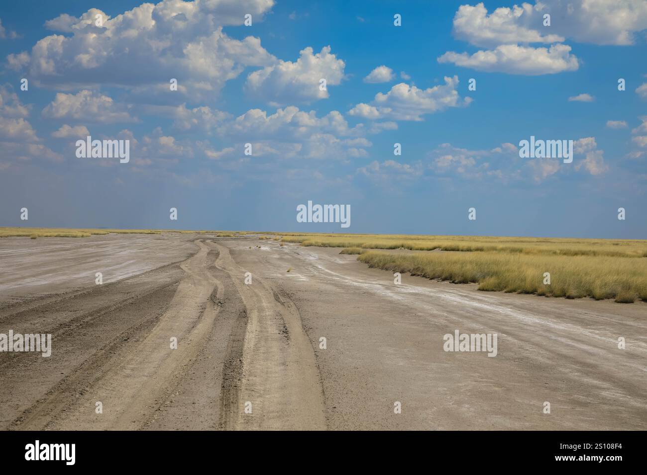 Strada di campagna infinita e sabbiosa nel bellissimo paesaggio desertico della Namibia. Salina nel parco nazionale di Etosha. Namibia, Africa Foto Stock