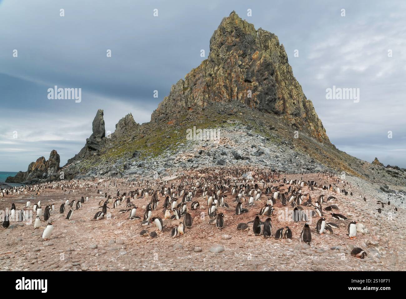 Vista di Fort Point, penisola antartica, con colonia di pinguini, Antartide, 27 gennaio 2018 Foto Stock