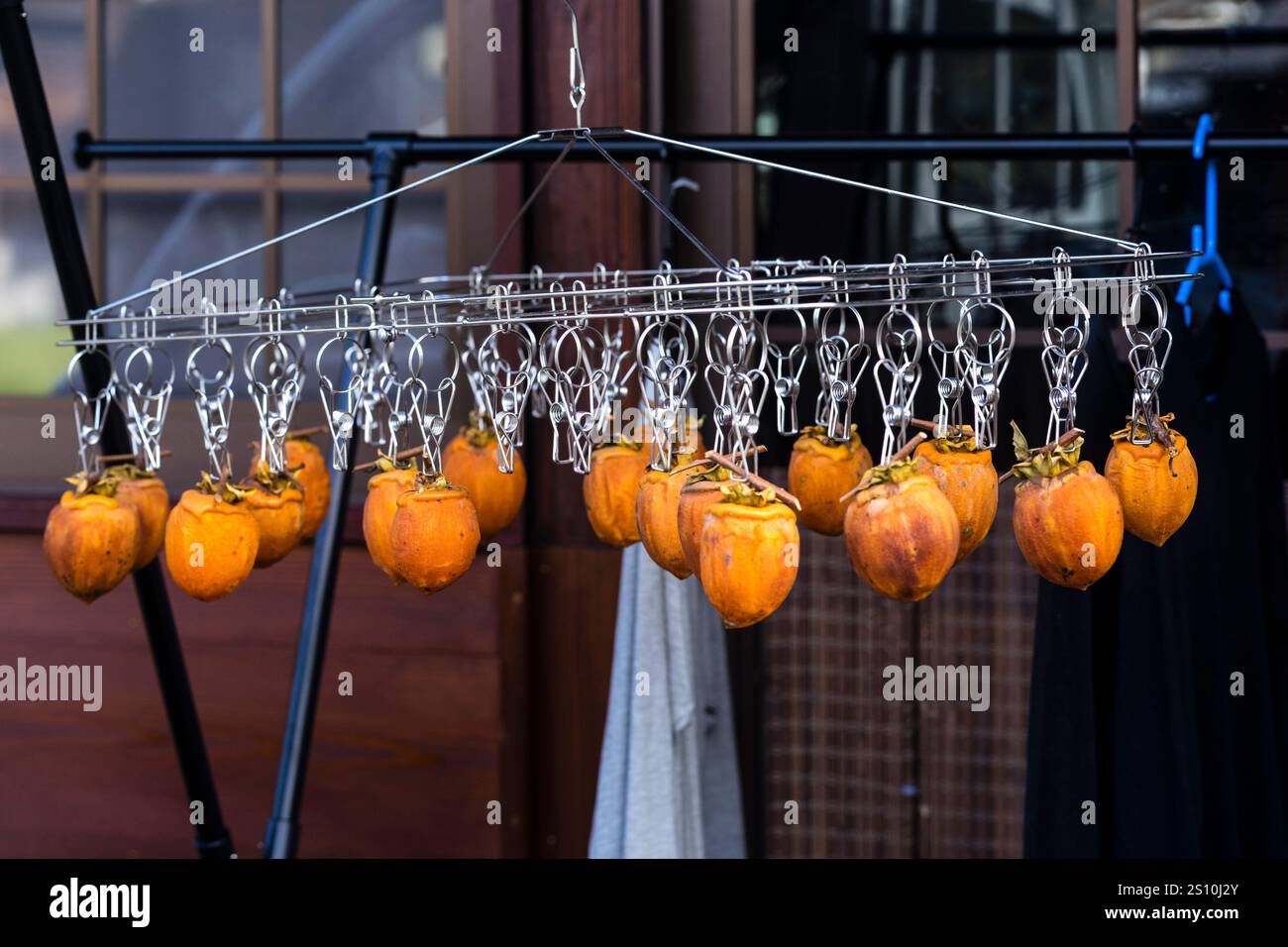 Frutta Kaki secca a Gifu/Giappone Foto Stock