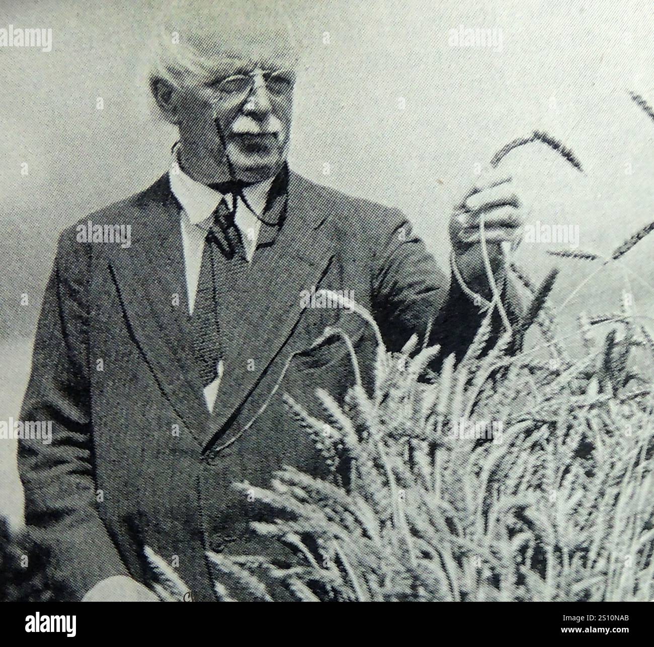 Un ritratto del 1940 del politico David Lloyd George che esamina i raccolti nella sua fattoria. Noto anche come i conte Lloyd-George di Dwyfor[a] ( 1863 - 1945) . È stato primo ministro del Regno Unito dal 1916 al 1922 Foto Stock