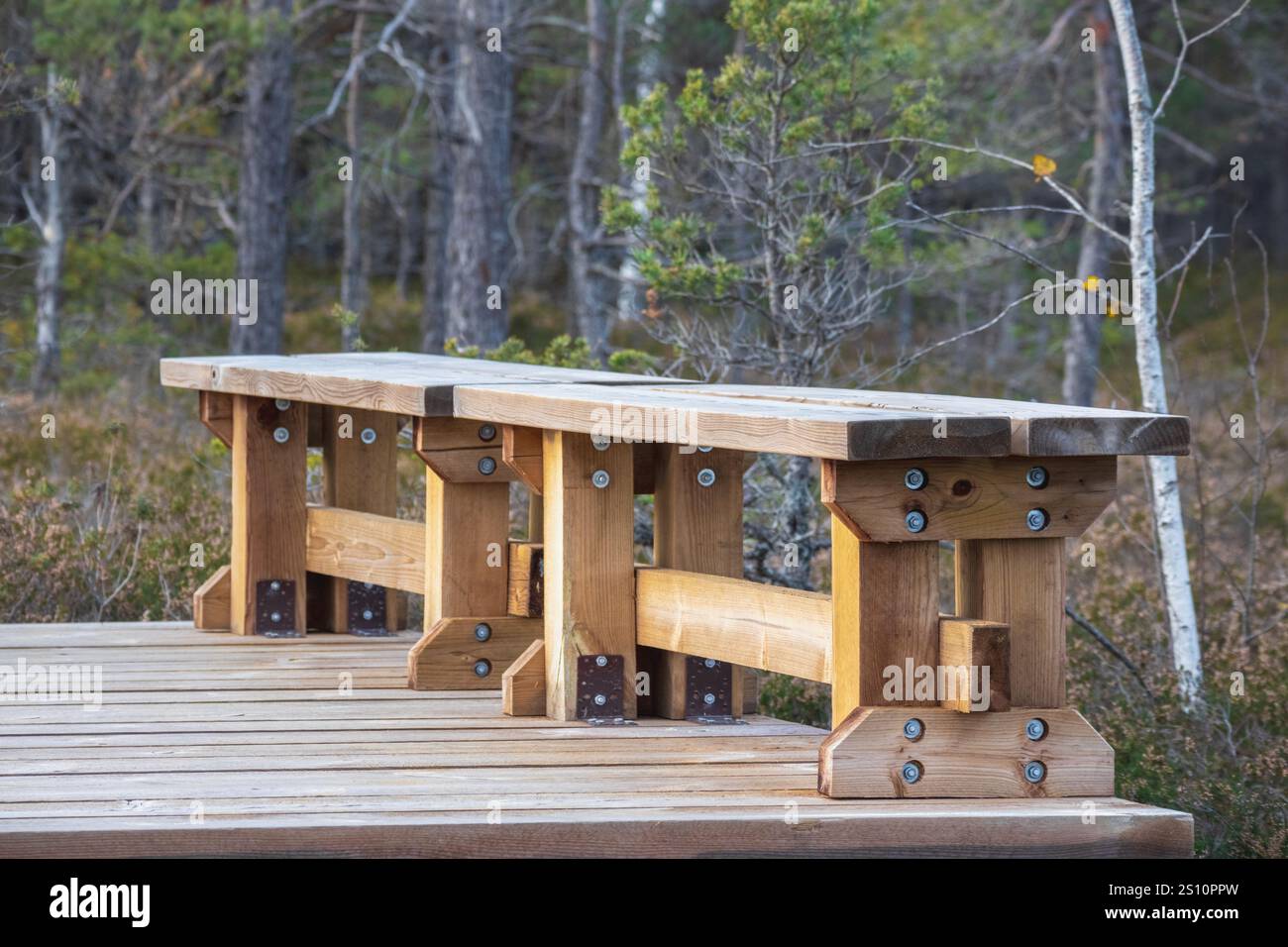 Una panca di legno situata su una passerella di legno in un'area boscosa. Il banco è realizzato in tavole di legno massiccio ed è fissato alla passerella con fa in metallo Foto Stock